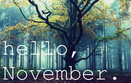 Sweet November…